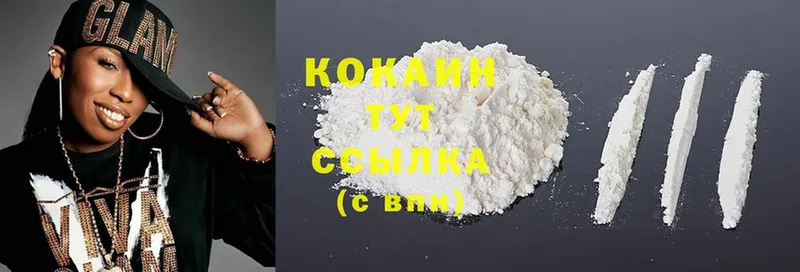 Кокаин FishScale  купить наркотики цена  Белая Холуница 